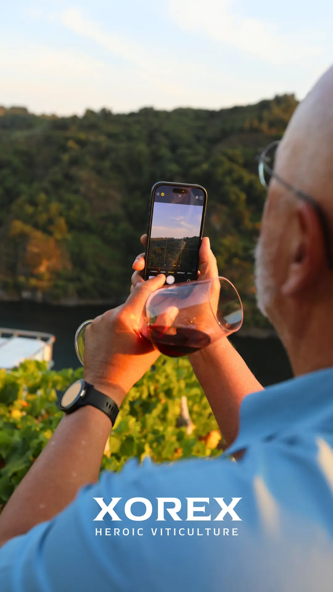 Visitas al viñedo Xorex en la Ribeira Sacra